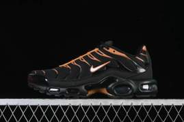 Picture for category Air Max Plus